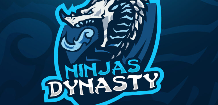 Ninjas Dynasty
